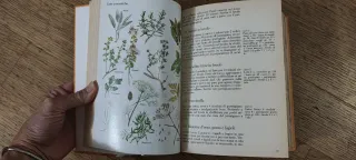 Millericette. Il classico della tradizione gastron