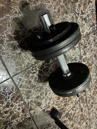 Mancuernas 10 kg