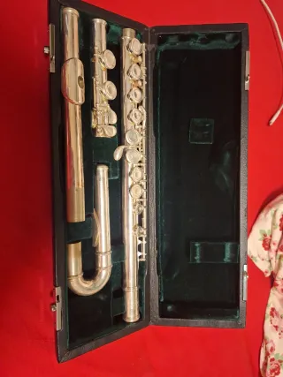 Flauta travesera plateada con estuche