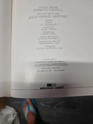 Cocina internacional