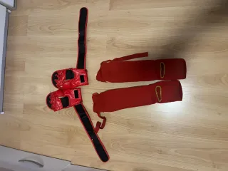 Guantillas y espinilleras Leone MMA