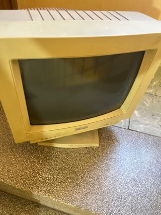 Monitor antiguo para PC