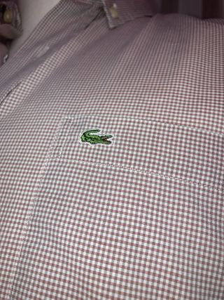 Camicia Lacoste vintage marrone tg 30/S