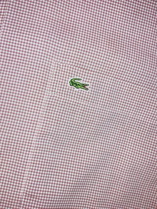 Camicia Lacoste vintage marrone tg 30/S