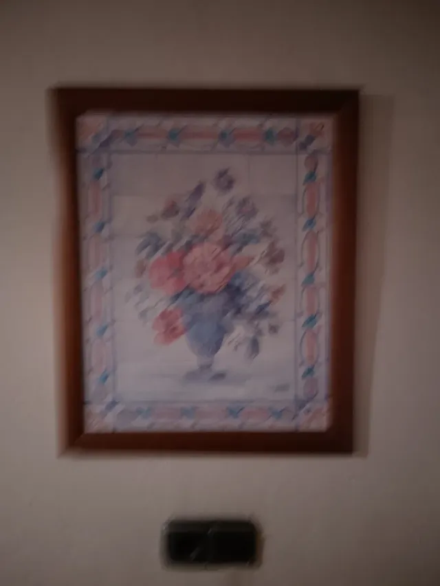 2 Cuadros de Flores Decorativos