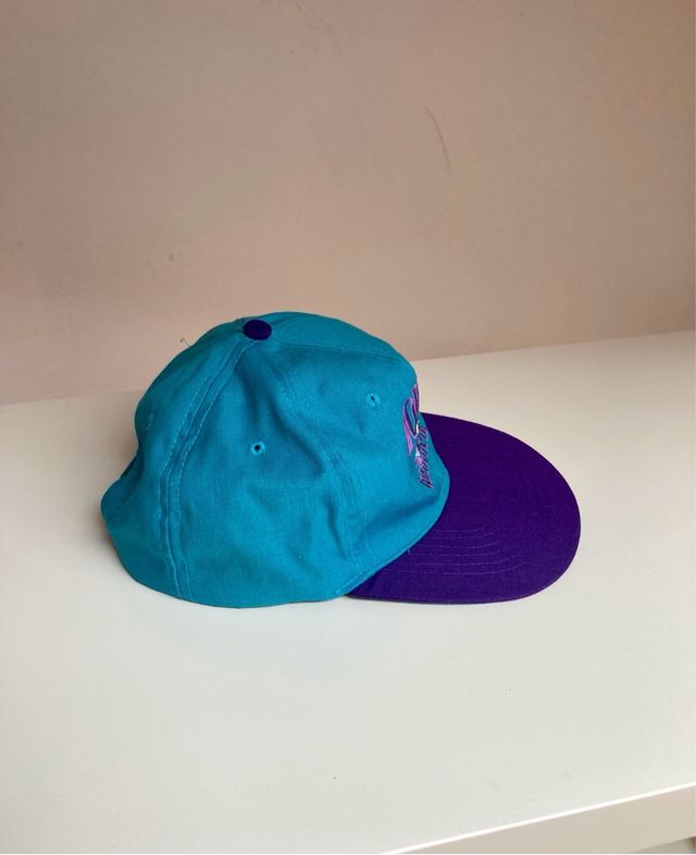 Vintage Charlotte Hornets NBA baseball cap 90s