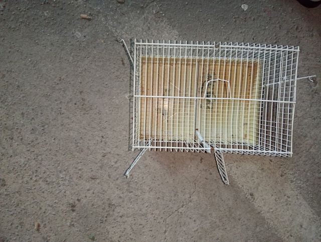 Jaula pájaros