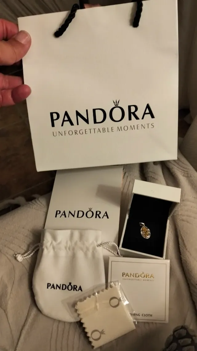 Pandora Charm Colgante Dorado y Plateado,