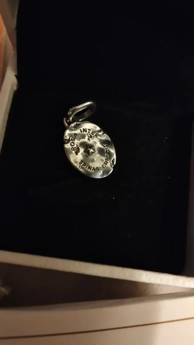 Pandora Charm Colgante Dorado y Plateado,