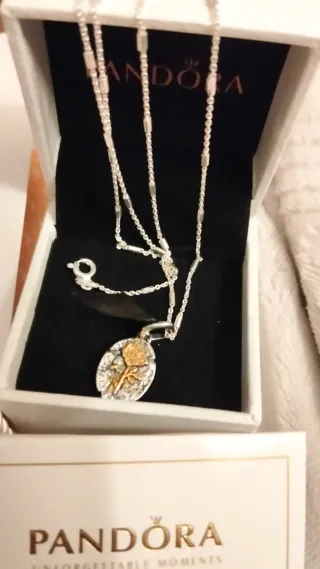 Pandora Charm Colgante Dorado y Plateado,