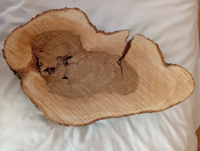 Corte madera olivo curada