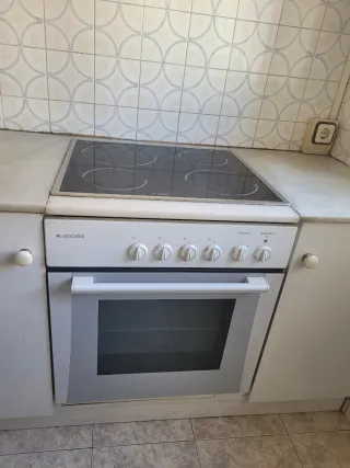 Horno y Vitrocerámica Aspes + Campana Edesa