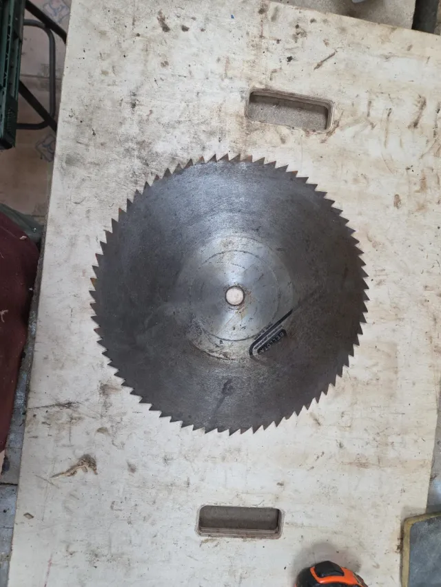 Disco sierra 35 x 25 (22).