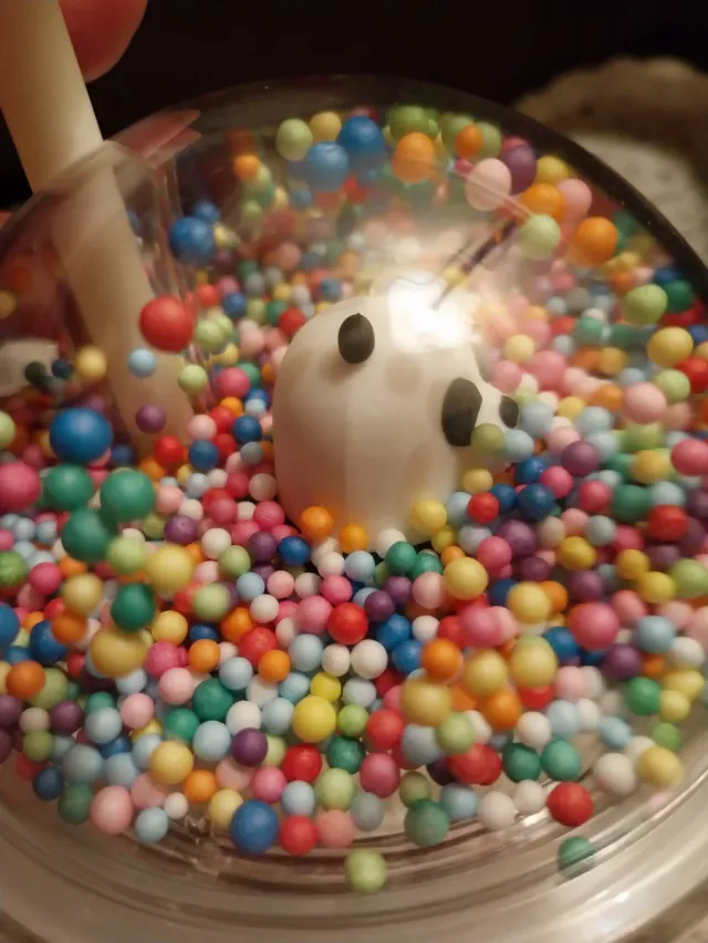 Bicchiere We Bare Bears Miniso