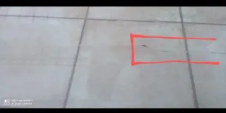 Ventana Caravana Hobby Excellent Easy