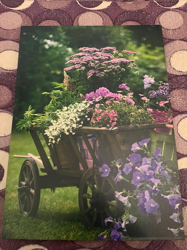 Cuadro Decorativo Carro Flores 5€ cada uno