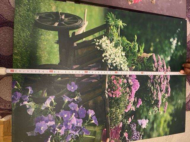 Cuadro Decorativo Carro Flores 5€ cada uno