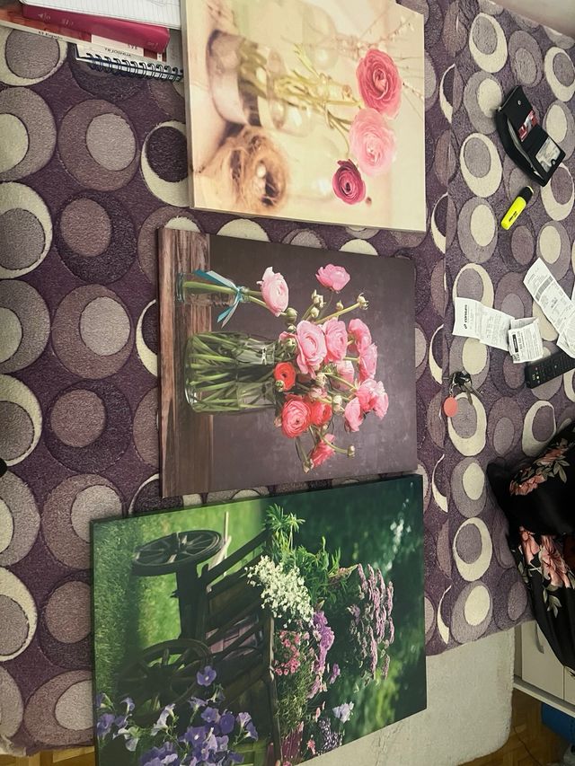 Cuadro Decorativo Carro Flores 5€ cada uno