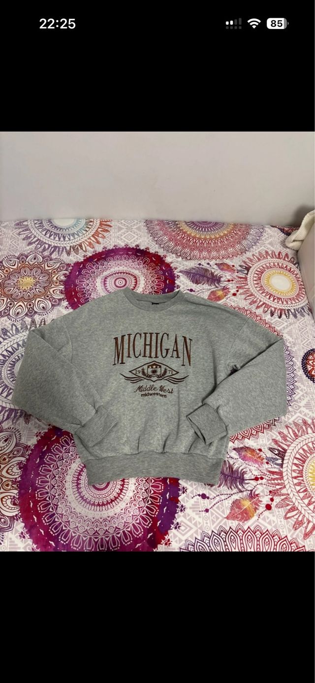 Sudadera Michigan Gris