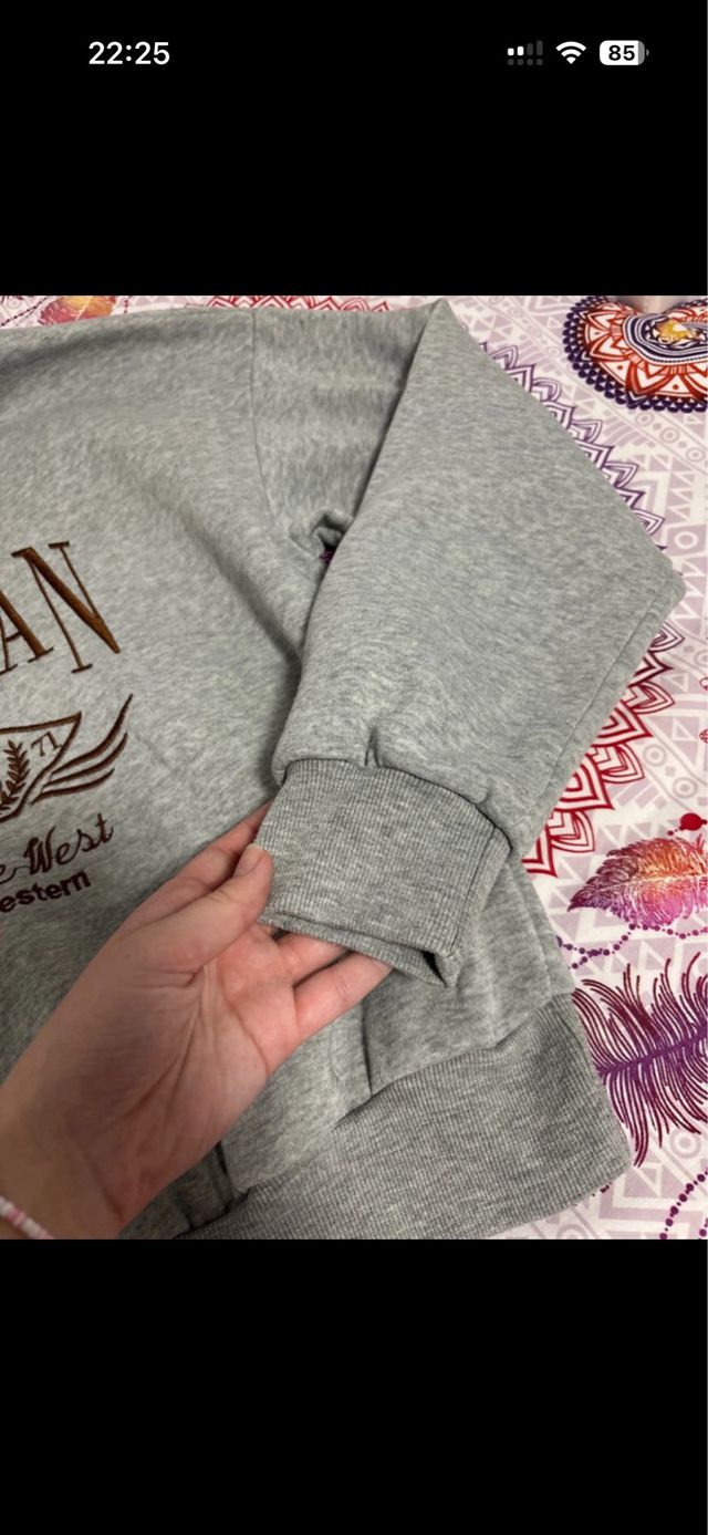 Sudadera Michigan Gris