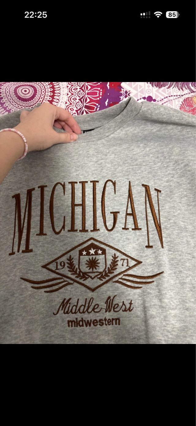 Sudadera Michigan Gris