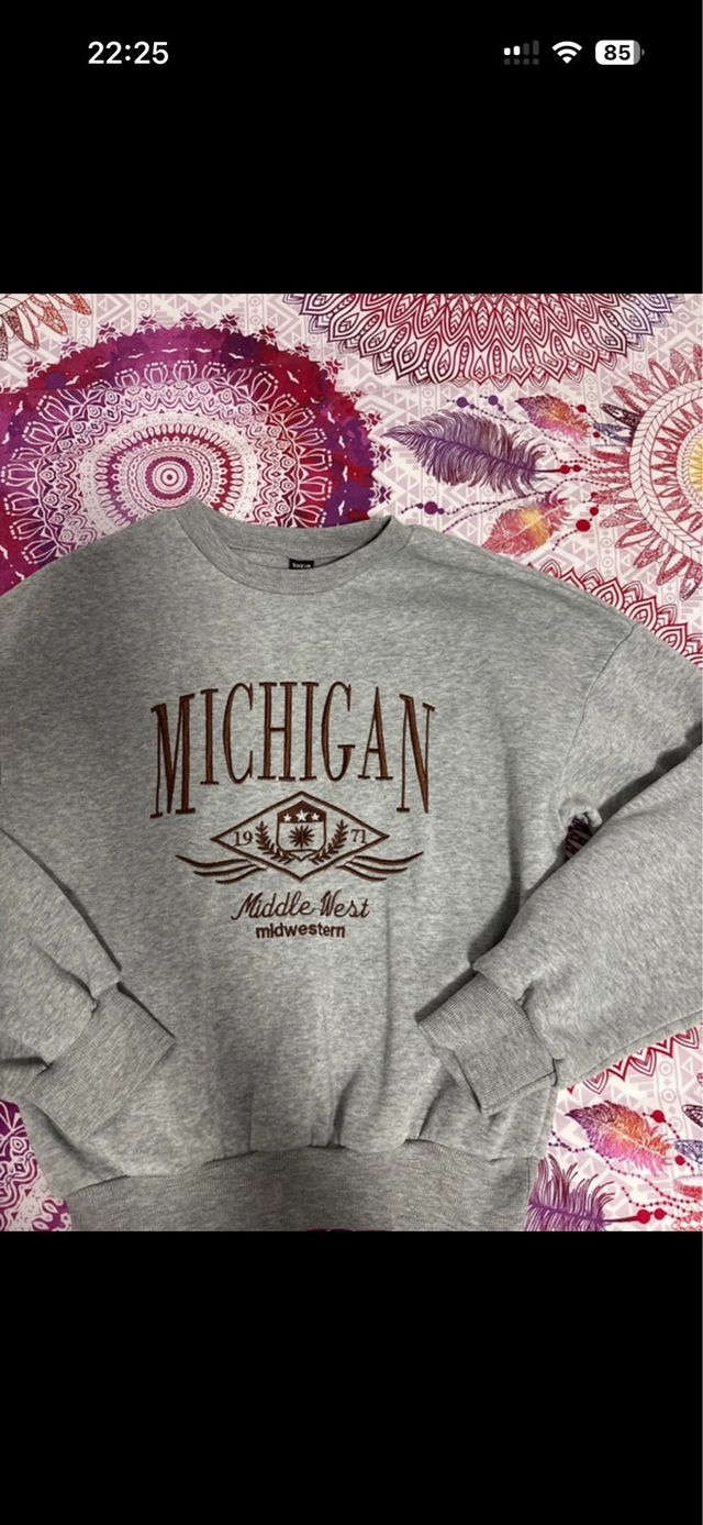 Sudadera Michigan Gris