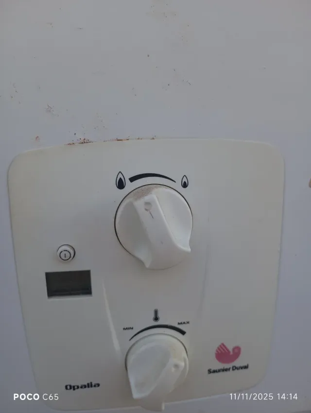 Termo de gas Daumier Duval automático