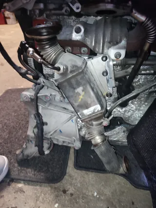 Despiece motor Fiat Tipo 1.6