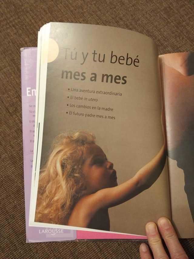 Libro Larousse Embarazo
