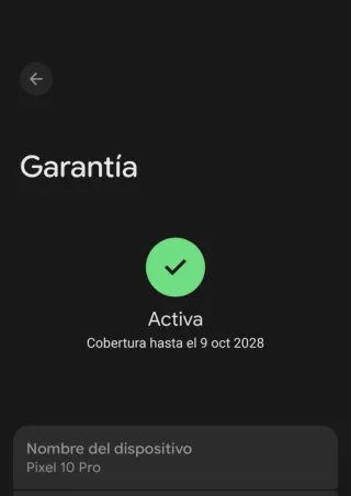 Google Pixel 10 Pro Negro