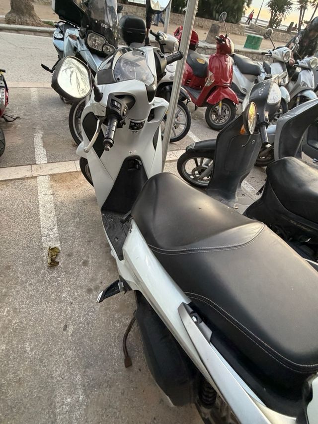 Honda SH 125 Scoopy 2017