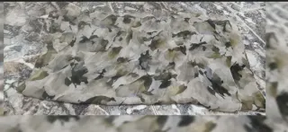 Pañuelo estampado floral. Tejido ligero y vaporoso