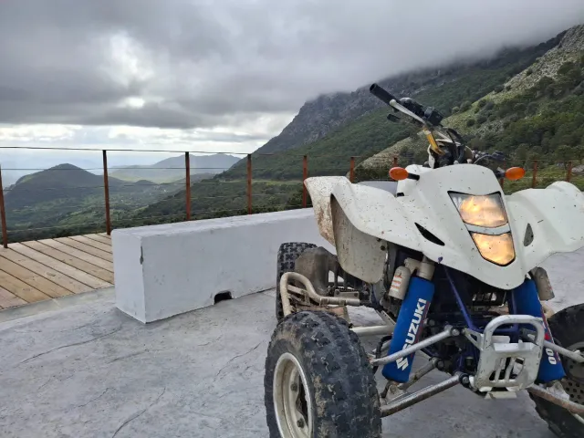 Suzuki LTZ 400 Quad
