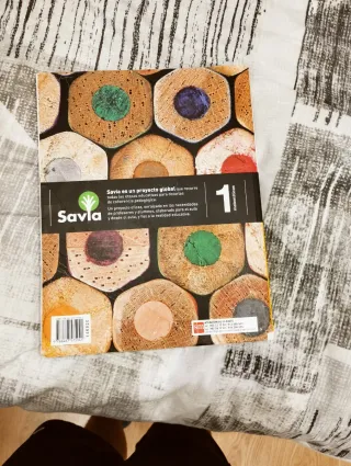 Matemáticas. 1 ESO. Savia