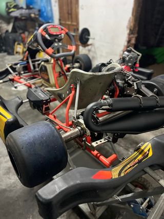 Kart intrepid Rotax junior EVO 2