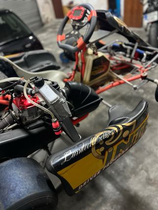 Kart intrepid Rotax junior EVO 2