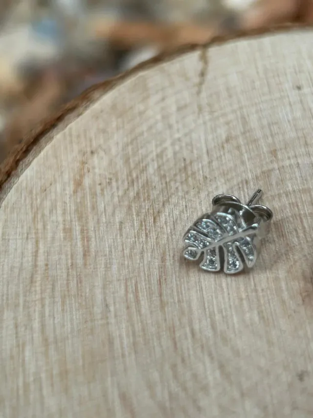 Pendientes hoja plata