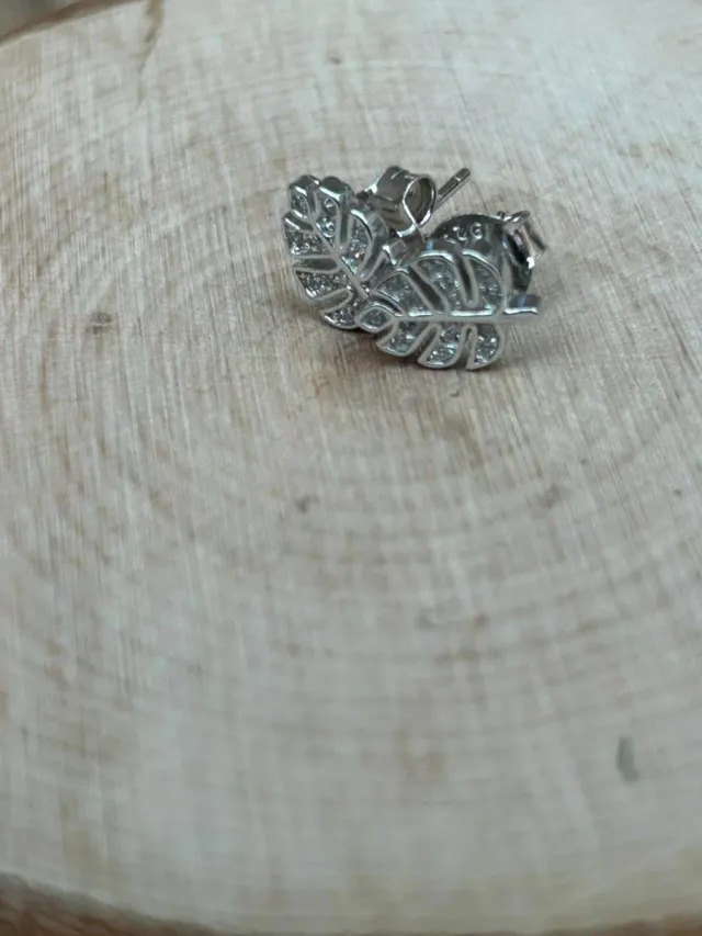 Pendientes hoja plata