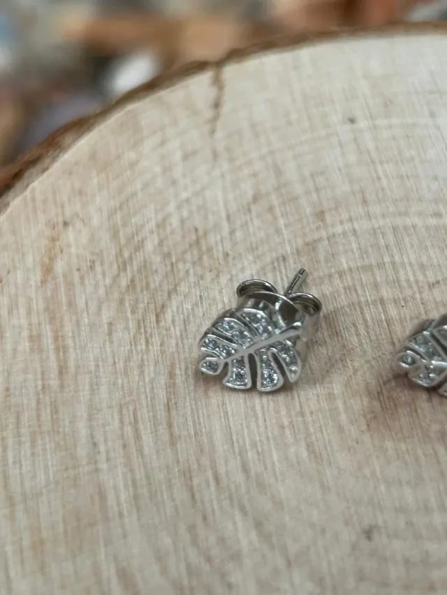 Pendientes hoja plata