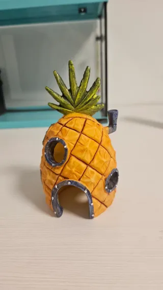 Acuario 30L con accesorios