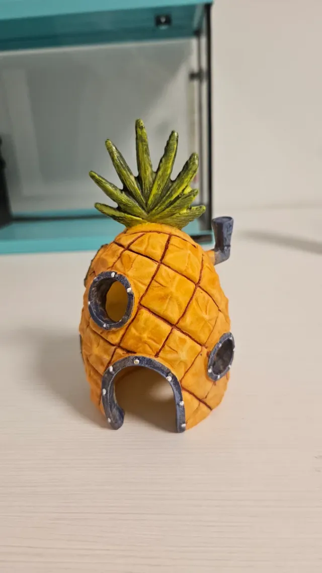 Acuario 30L con accesorios