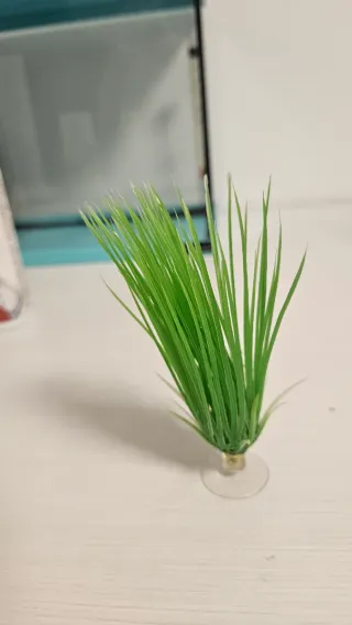 Acuario 30L con accesorios