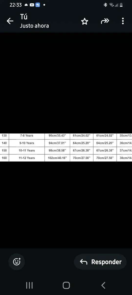 Sudadera K-Pop HUNTRAX Talla Única