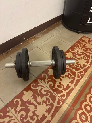 mancuerna con set de discos extraibles