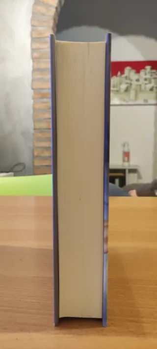 L'Italia spezzata. Un paese a metà tra Prodi e ...