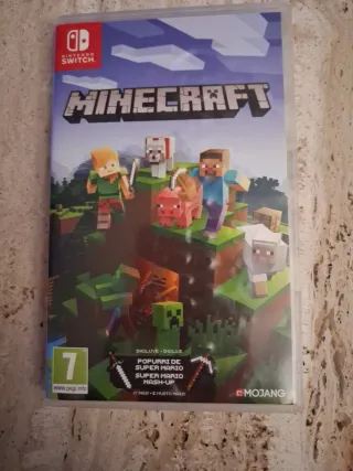 Minecraft Nintendo Switch