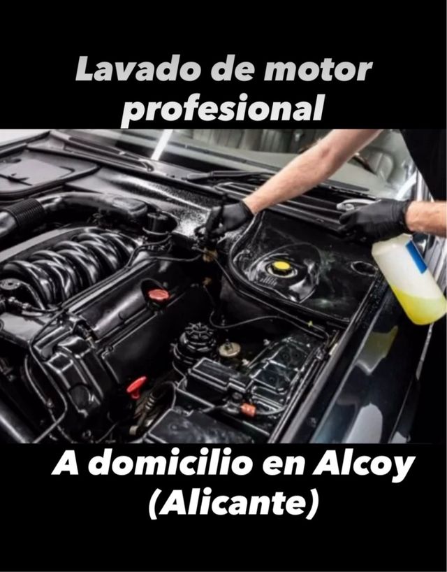 Lavado de Motor Profesional