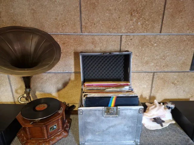 Colección de discos de vinilo