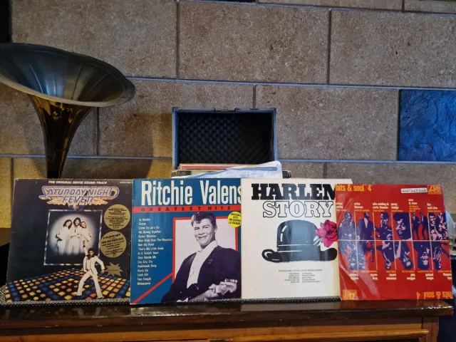 Colección de discos de vinilo