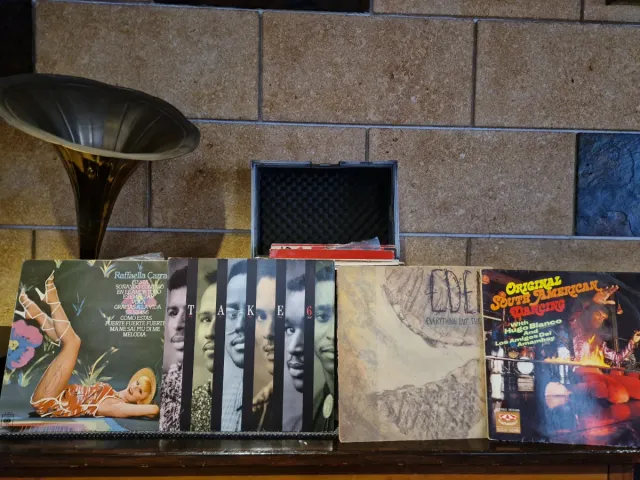 Colección de discos de vinilo